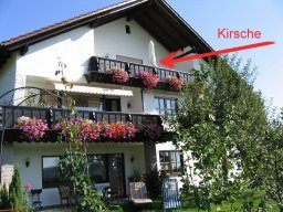 Apartment "Kirsche" mit Auenbalkon