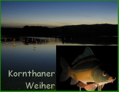 Karpfenkirchweih 2006 am Kornthaner Weiher mit installierten Solarkarpfen