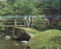 Abstecher ins romantische Waldnaabtal ber Falkenberg