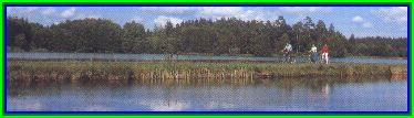 Naturerlebnisse auf der Vizinal-Bahnstrecke von Wiesau nach Tirschenreuth in der sogenannten Teichpfanne der Waldnaabauen