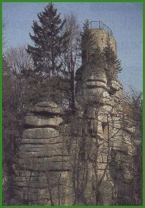 Burgruine Weienstein vor der Freilegung durch Abholzen